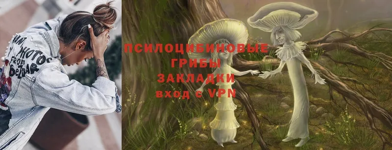 Галлюциногенные грибы Magic Shrooms  KRAKEN онион  Бавлы 